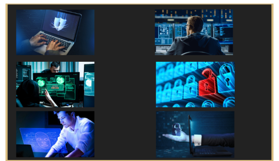 Bilişim Siber Hizmetler Ağ Temizleme Tespit